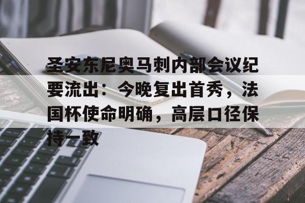 开云-圣安东尼奥马刺内部会议纪要流出：今晚复出首秀，法国杯使命明确，高层口径保持一致的简单介绍